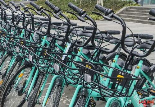 青桔单车最新爆料,揭秘行业变革背后的秘密与未来趋势”  第1张